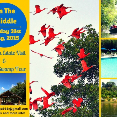 In The Middle: La Vega Estate Visit & Caroni Swamp Tour