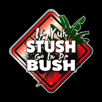 If Yuh Stush Go In D Bush