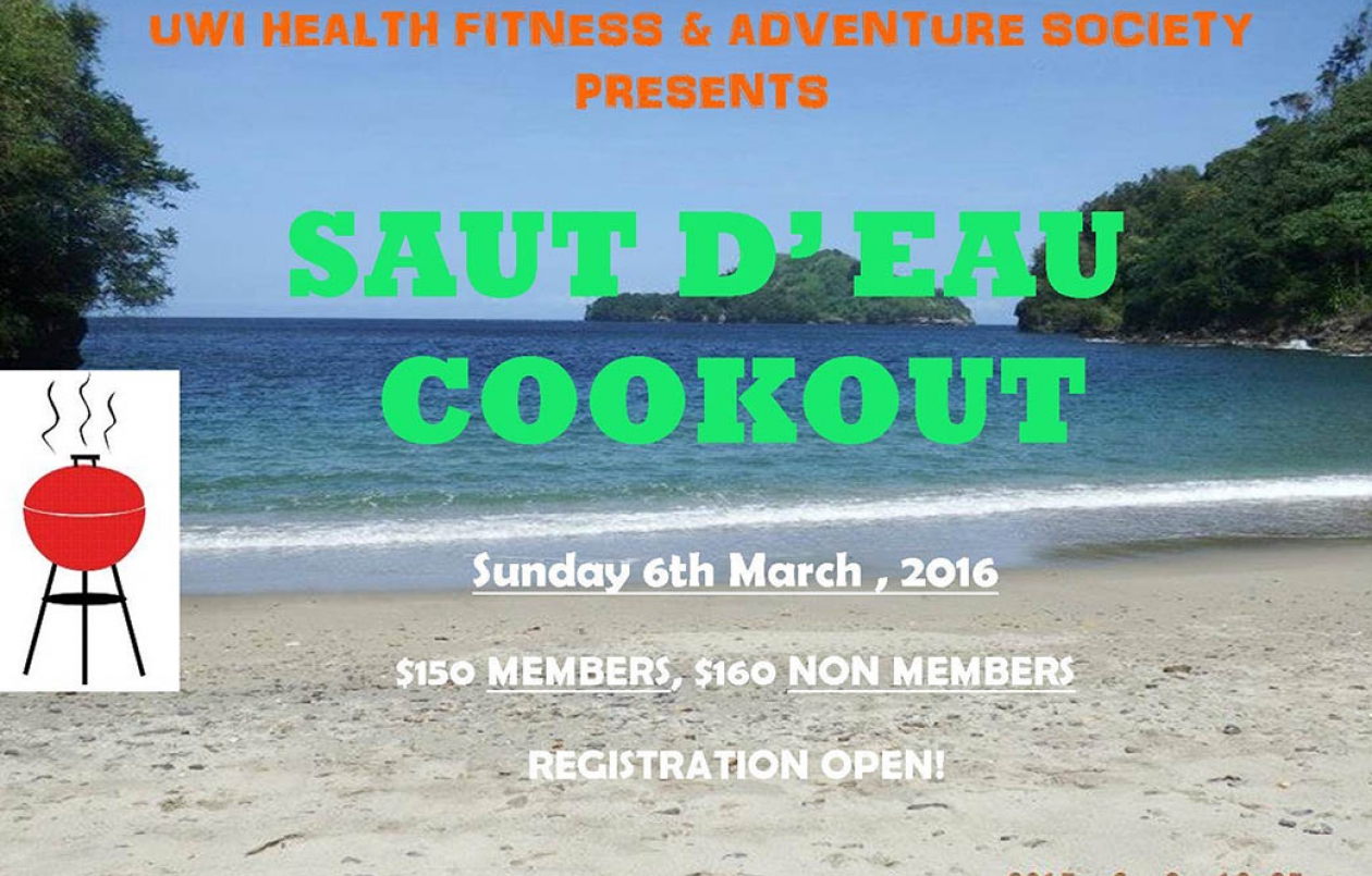 Saut D'eau Beach Cookout