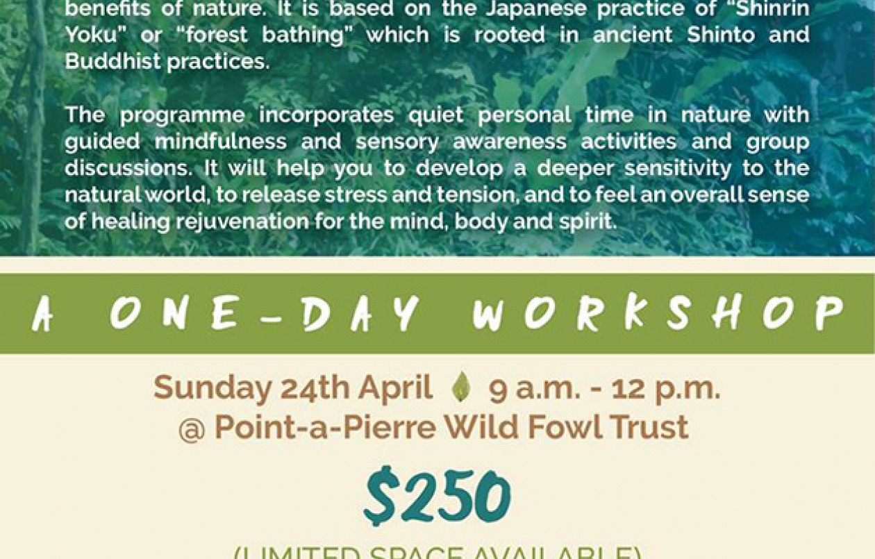 Nature Washing - Nature As Therapy