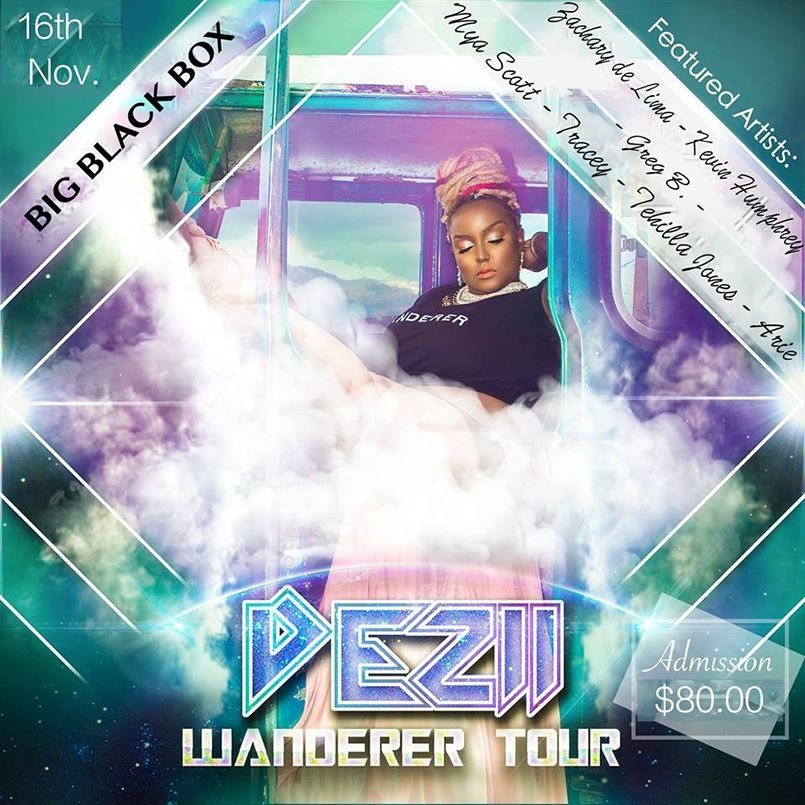 DEZii Wanderer Tour Big Black Box ID 19194