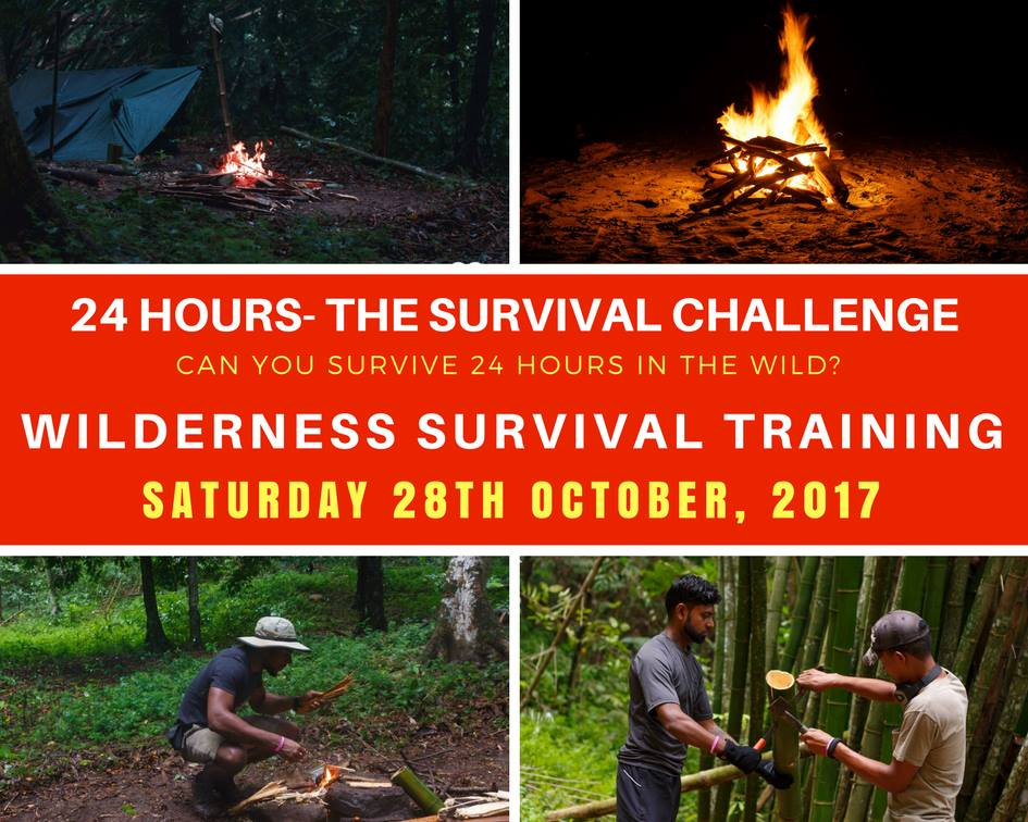 24 Hours The Wilderness Survival Challenge ID 21818