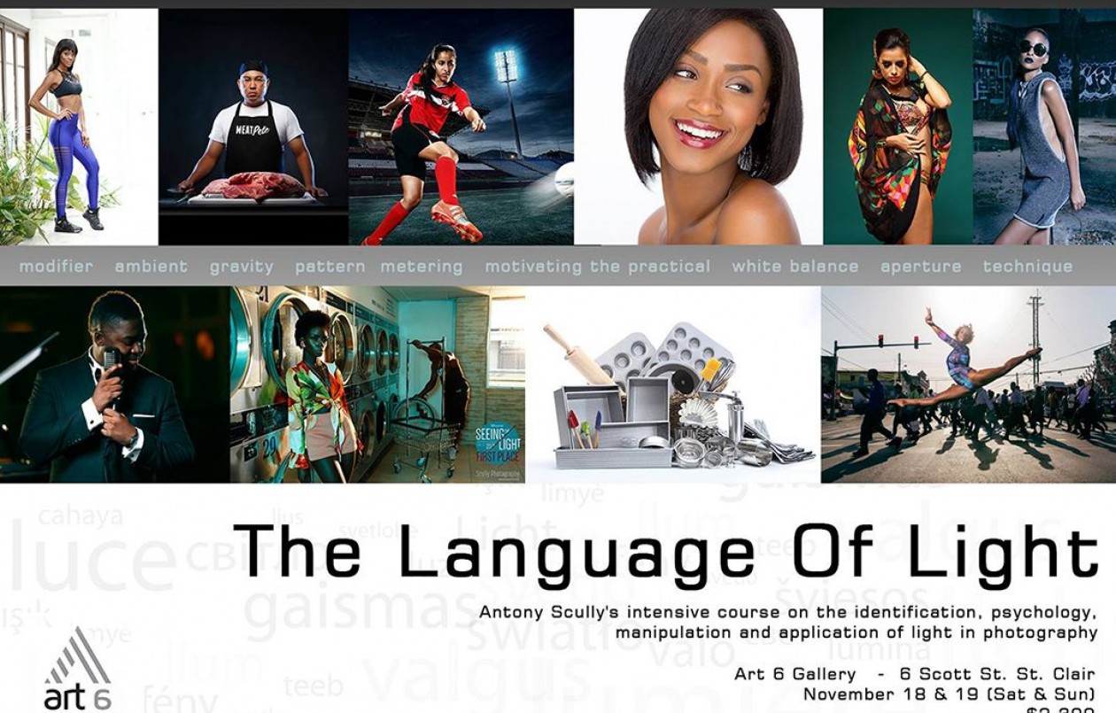 The Language of Light 2017