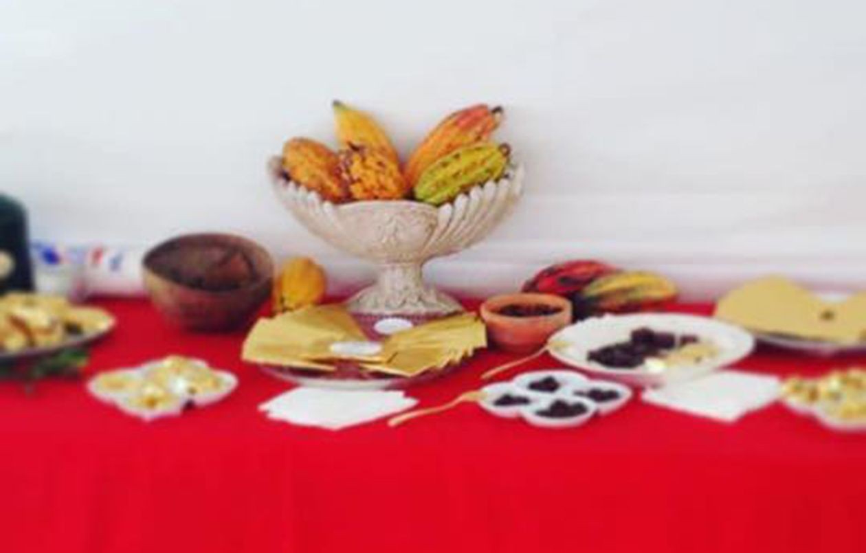 Opening of National Cocoa and Chocolate Museum & Festival ID 23832