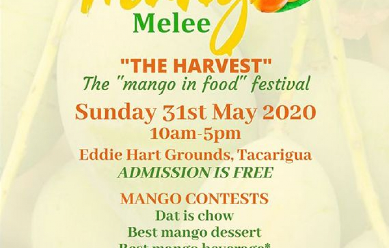 Mango Melee TT 2020