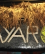 MAYARO The BAND